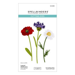Spellbinders - Wildflowers - S4-1430