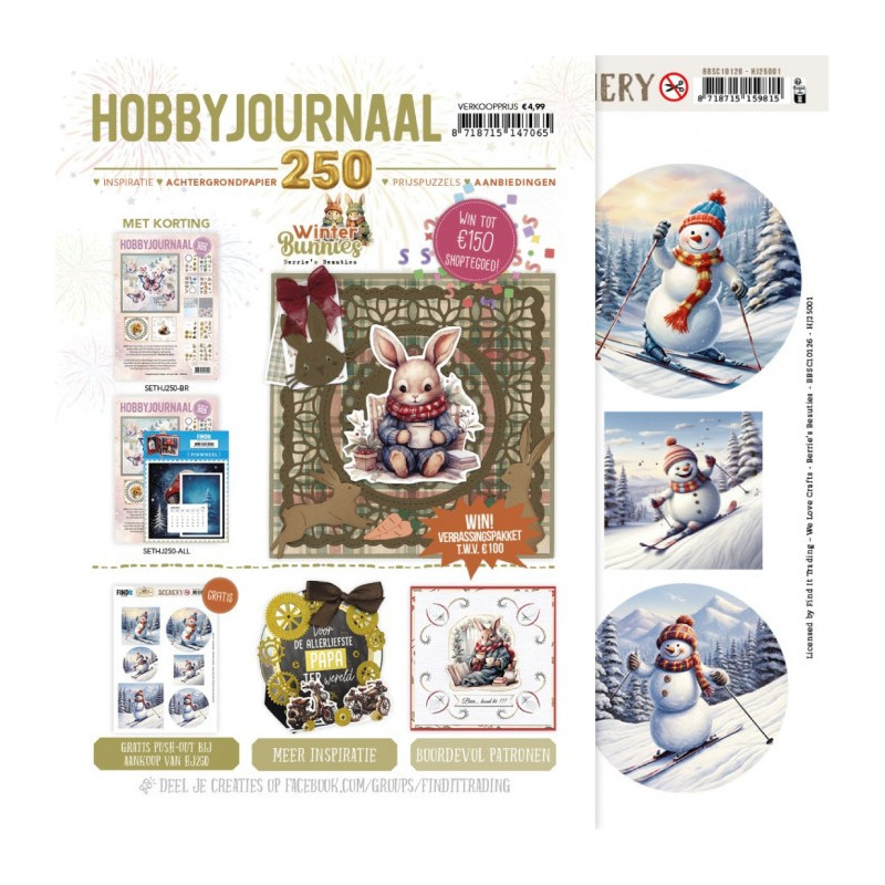 Hobbyjournaal Magazine 250 ( NU SOM BLAD OG IKKE EN AVIS)