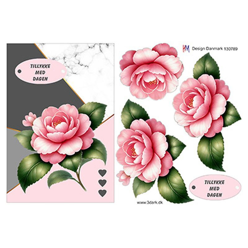 HM Design - 130789