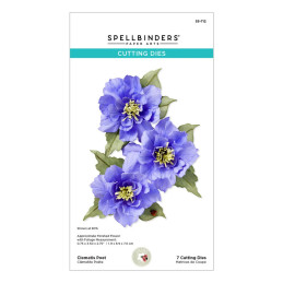Spellbinders - Clematis Poet - S5-712