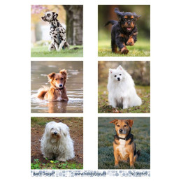 Barto Design - 069569