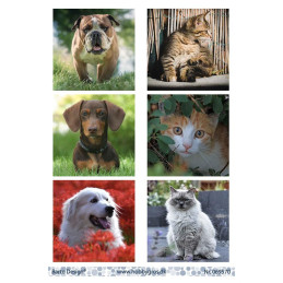 Barto Design - 069570