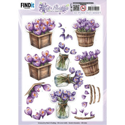 Pushout - Berries Beauties - First Blossoms - Crocus Charm - SB11082