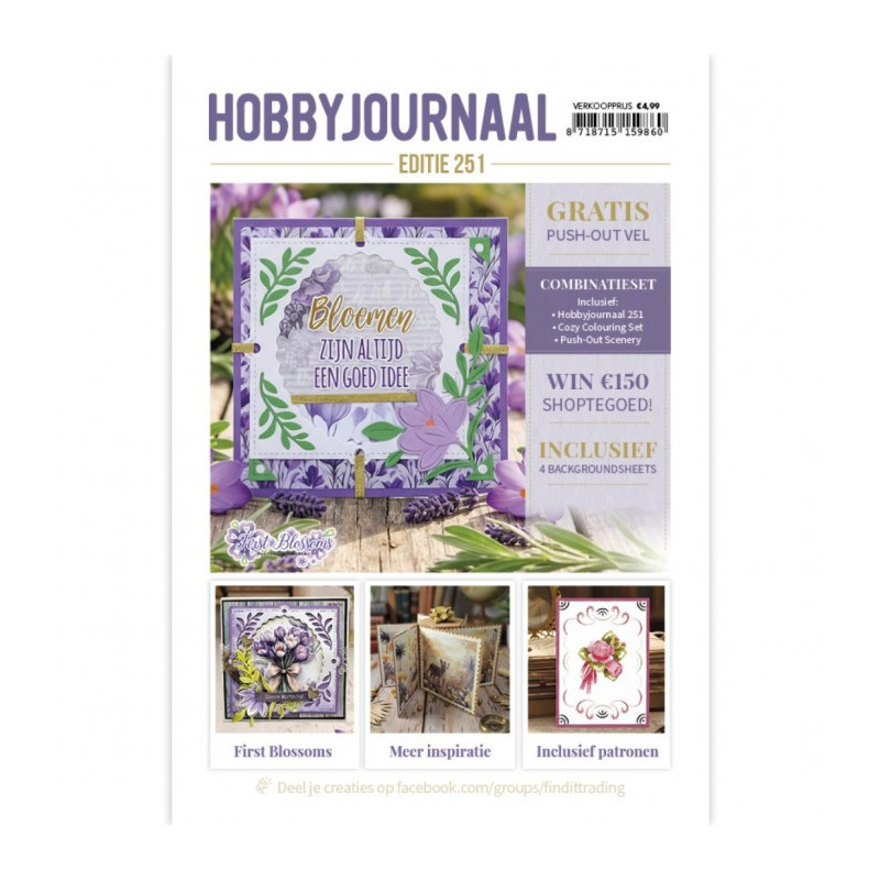 Hobbyjournaal Magazine 251 ( NU SOM BLAD OG IKKE EN AVIS)