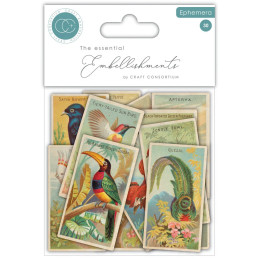 Craft Consortium - Ephemera - The Collector - Birds