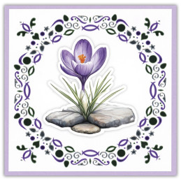 Dot And Do 296 - First Blossoms