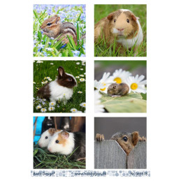 Barto Design - 069578