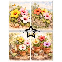 Paper Favourites - Papirpakke A6 - Hibiscus - PFA613