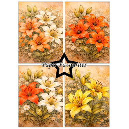 Paper Favourites - Papirpakke A6 - Lily - PFA614