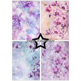 Paper Favourites - Papirpakke A5 - Orchidea - PFA215