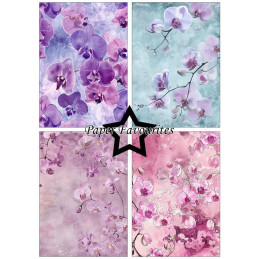 Paper Favourites - Papirpakke A5 - Orchidea - PFA215
