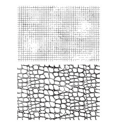 Stampers Anonymous - Tim Holtz - Cling Mount Stamps - Graph & Croc