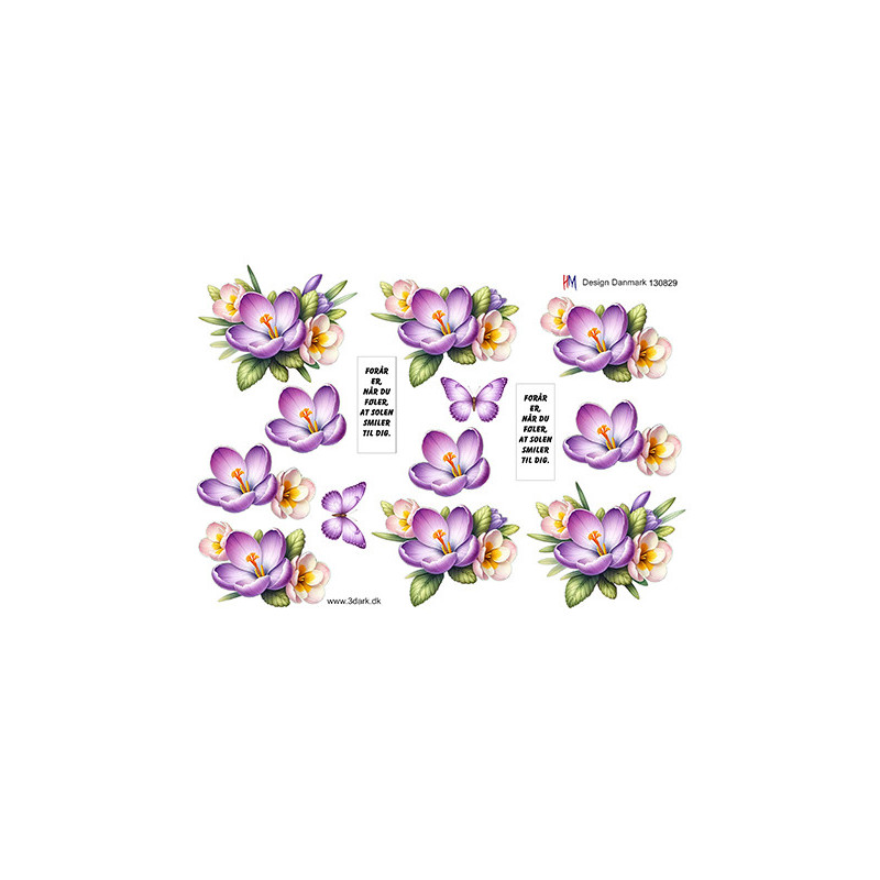 HM Design - 130829