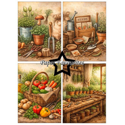 Paper Favourites - Papirpakke A6 - In The Garden - PFA619