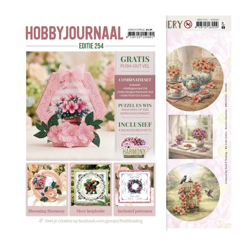 Hobbyjournaal Magazine 254 ( NU SOM BLAD OG IKKE EN AVIS)