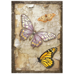 Stamperia - Mini Rice Paper A6 - All Around - DFSA6X06