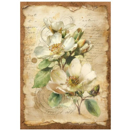Stamperia - Mini Rice Paper A6 - All Around - DFSA6X06