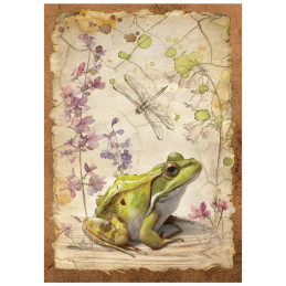 Stamperia - Mini Rice Paper A6 - All Around - DFSA6X06