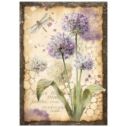 Stamperia - Mini Rice Paper A6 - All Around - DFSA6X06
