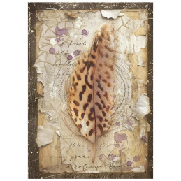 Stamperia - Mini Rice Paper A6 - All Around - DFSA6X06