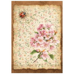 Stamperia - Mini Rice Paper A6 - All Around - DFSA6X06