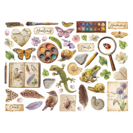 Stamperia - Die Cuts - All Around - DFLDC133