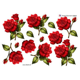 HM Design - 130853
