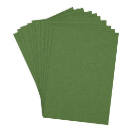 Spellbinders - ColorWheel Cardstock A4 - Fern