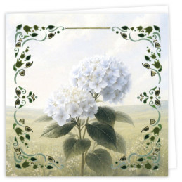 Dot And Do Cards 46 - White Hydrangea