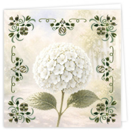 Dot And Do Cards 46 - White Hydrangea