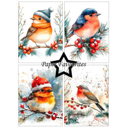 Paper Favourites - Papirpakke A6 - Christmas Birds - PFA629