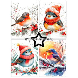 Paper Favourites - Papirpakke A6 - Christmas Birds - PFA629