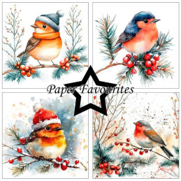 Paper Favourites - Papirpakke 15x15 - Christmas Birds - PF588