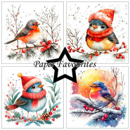 Paper Favourites - Papirpakke 15x15 - Christmas Birds - PF588