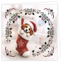 Dot And Do Cards 49 - Merry Pawmess