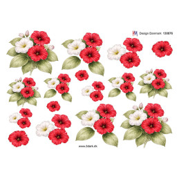 HM Design - 130876