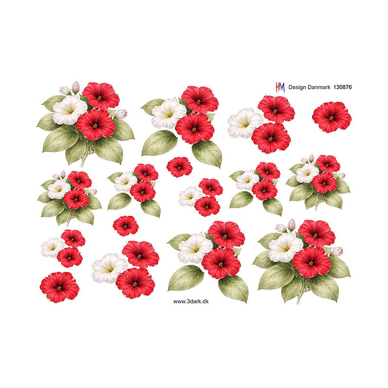 HM Design - 130876