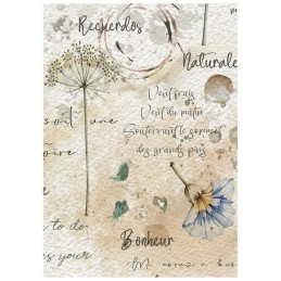 Stamperia - Mini Rice Paper A6 - Flowers And Poems - DFSA6X13