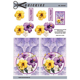 Quickies - 201640