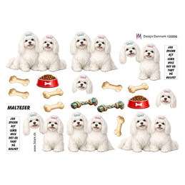 HM Design - 130896