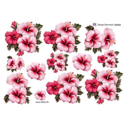 HM Design - 130900