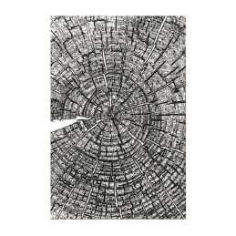 Sizzix - Tim Holtz - 3D Embossingfolder - Vault Tree Rings - 667258