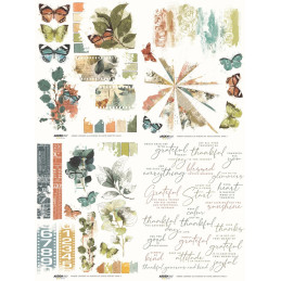 Arden Creative Studio - Rub-On Transfer Set - Amber Ledgers - ACSRO0013