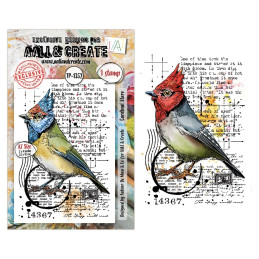 AALL And Create - Stamp Set A7 - Hearted Nature - Cardinal Stare - AALL-TP-1352