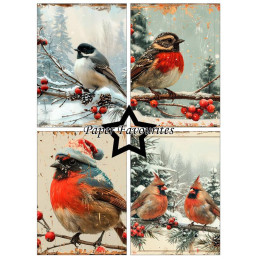 Paper Favourites - Papirpakke A6 - Silent Winter - PFA649