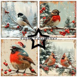Paper Favourites - Papirpakke 15x15 - Silent Winter - PF603