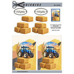 Quickies - 201646