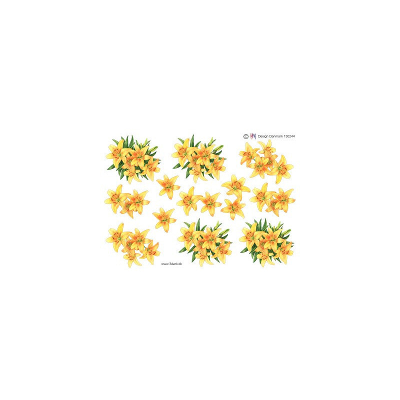 HM Design - 130244