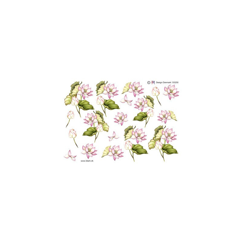HM Design - 130250
